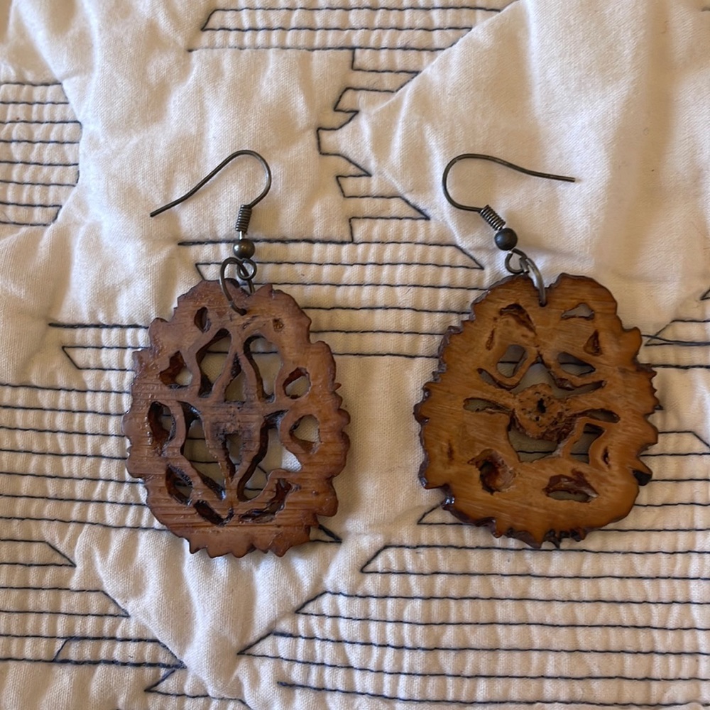 Unique petrified wood earrings from Costa Rica